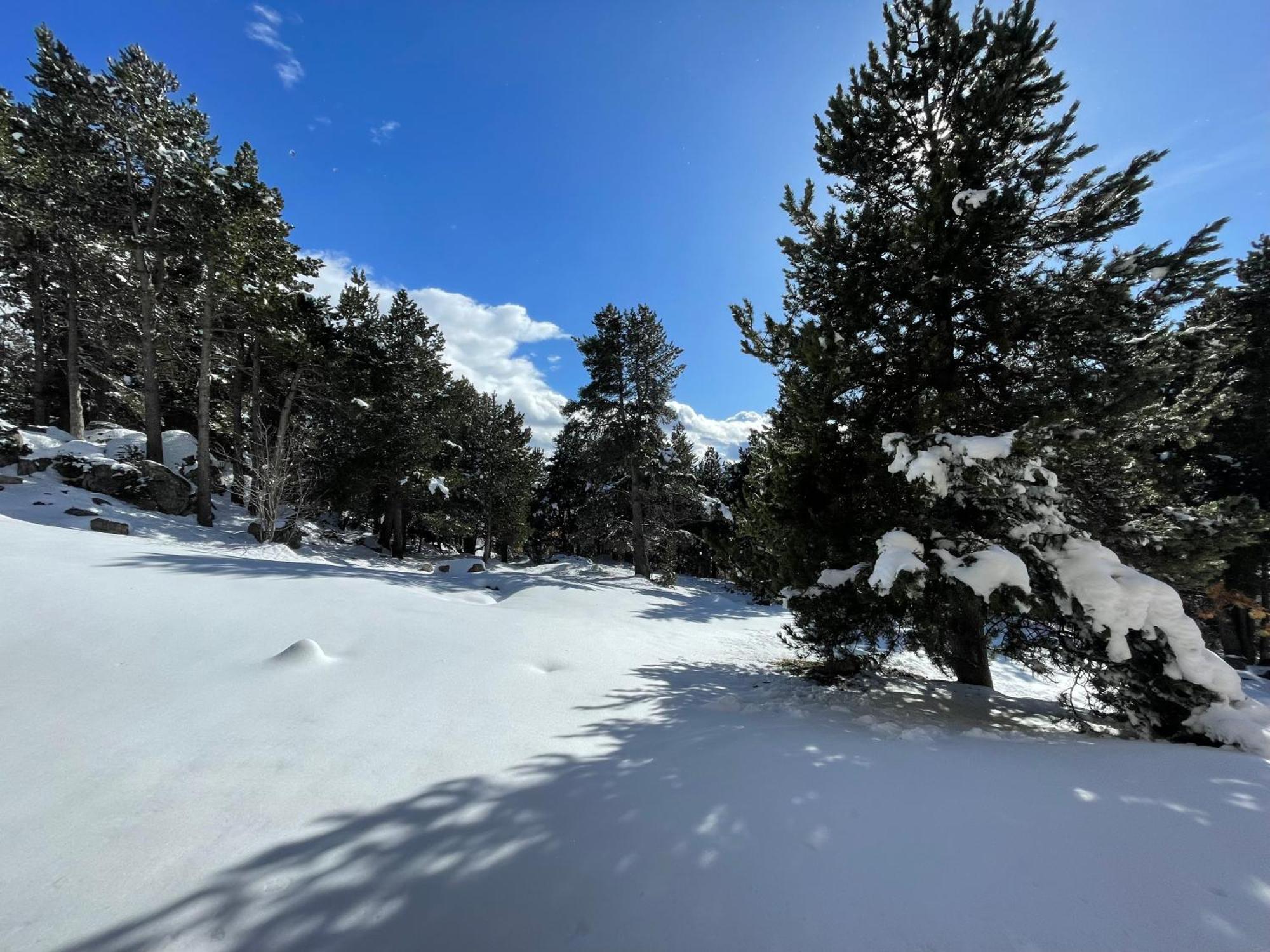 Joli Studio Pres De La Foret Font-Romeu-Odeillo-Via Exterior foto